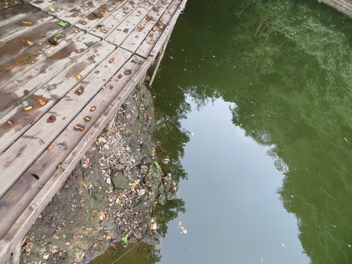 b0121015_2034560.jpg