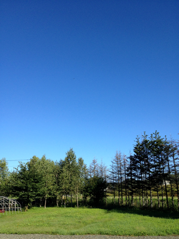 今日も・・・_f0096216_7592998.jpg