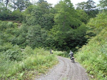 c0223419_1613948.jpg