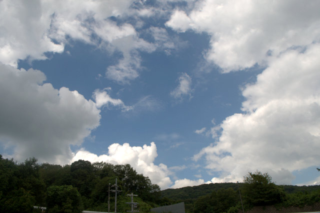 d0072720_1529139.jpg