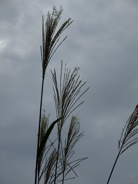 e0256122_13395649.jpg