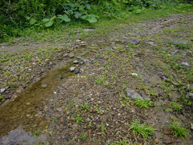 e0256122_1423497.jpg