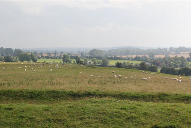 b0171423_2344270.jpg