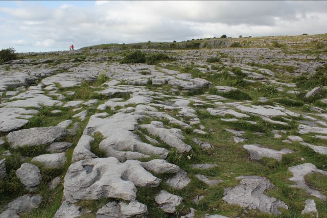 b0171423_353924.jpg