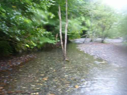 d0227723_1337358.jpg
