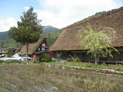 立山黒部アルペンルートと黒部峡谷鉄道・上高地・白川郷の旅_a0202528_222569.jpg