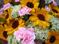 c0158033_4184298.jpg