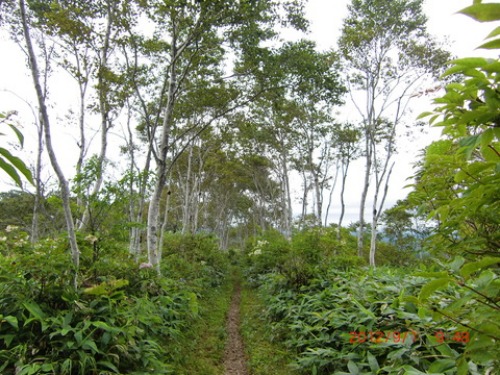 f0020336_21294515.jpg