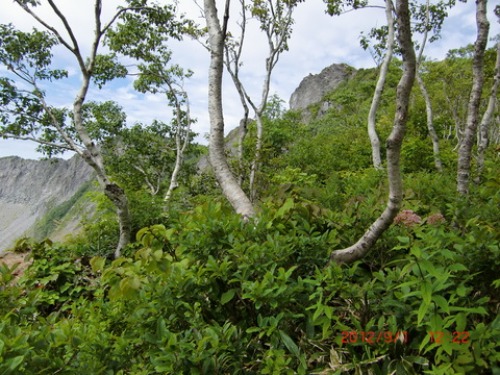 f0020336_21303598.jpg