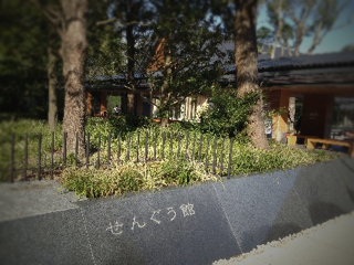 b0190640_18484516.png
