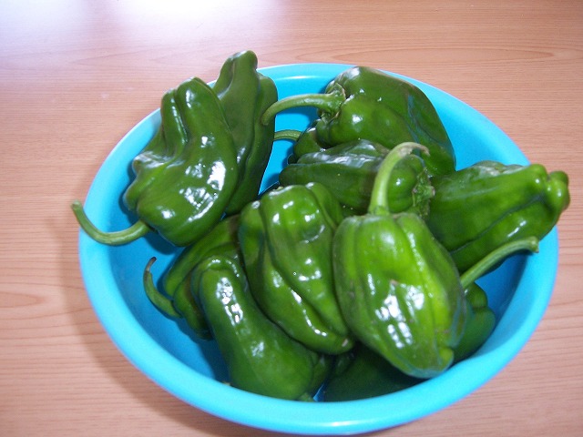 c0048940_20245374.jpg