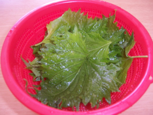 c0048940_20265798.jpg