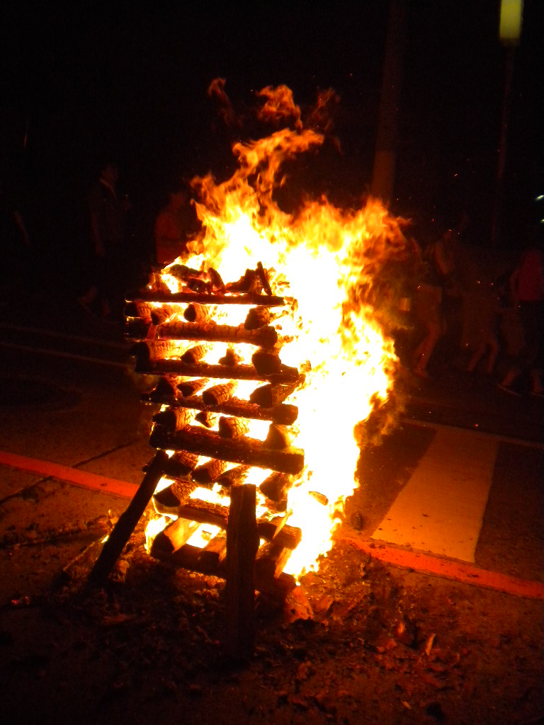 「山中日記　２０１２」　－火祭りといえば－_c0135543_952312.jpg