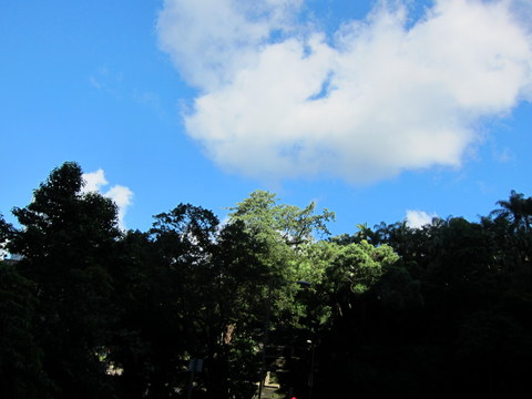 e0018143_0474832.jpg