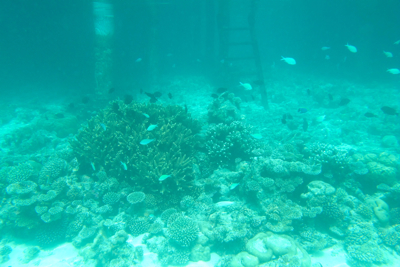 f0190653_15371330.jpg