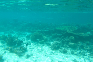 f0190653_15412773.jpg