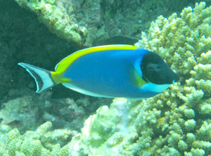 f0190653_15415025.jpg