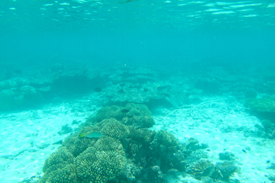 f0190653_15424216.jpg