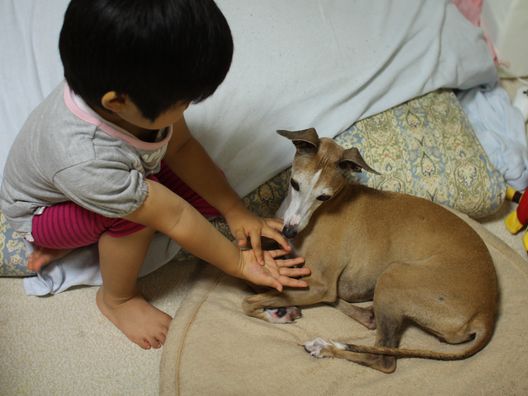 おりりん、子供に寛容なところを見せる。_b0234654_20301680.jpg