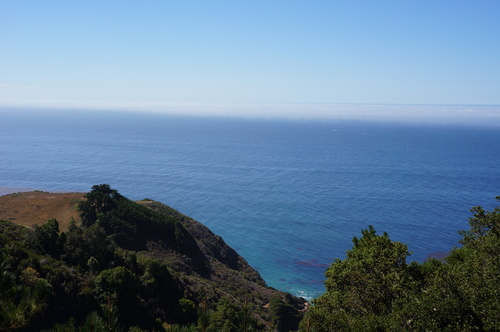 a0124555_8172995.jpg