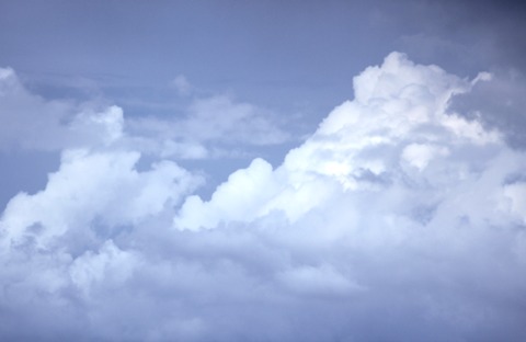 a0001756_09429.jpg