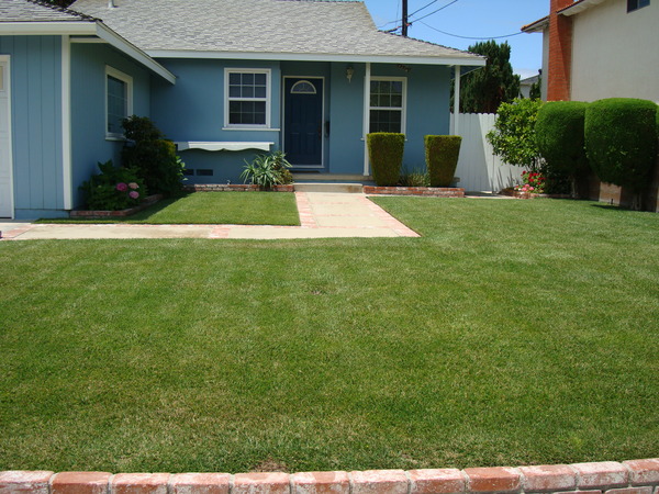 f0198556_01785.jpg