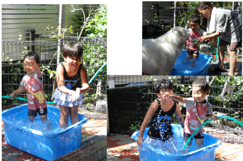 a0201257_1235658.png