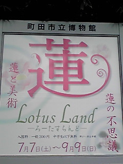 蓮 Ｌｏｔｕｓ Ｌａｎｄ展_d0245359_1254137.jpg