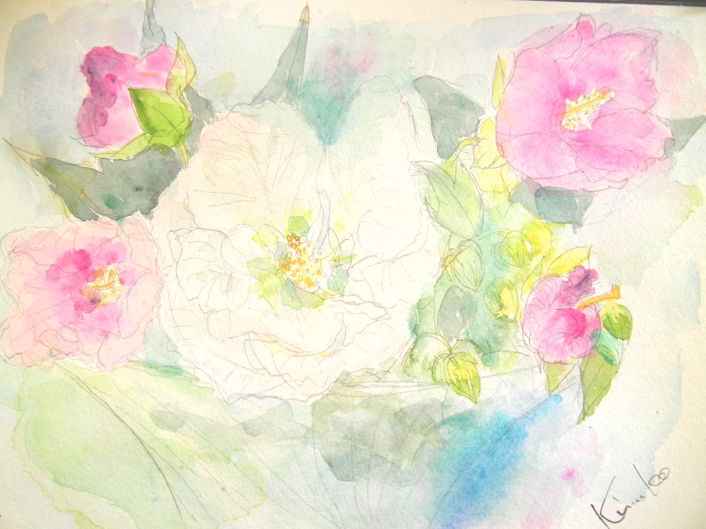 ’12,9,3(月)酔芙蓉の絵を描いたよ~!_f0060461_10415934.jpg
