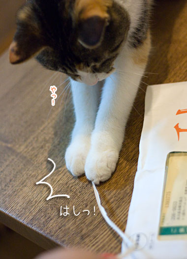 a0119470_03721.jpg