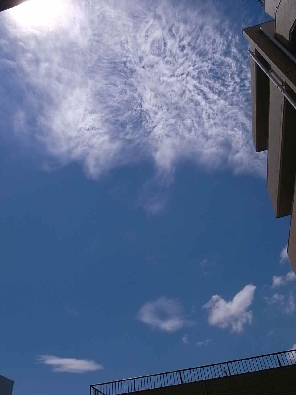 a0072072_23525672.jpg