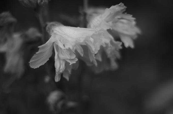 b0159790_0131325.jpg