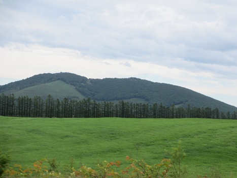 d0153294_13111952.jpg