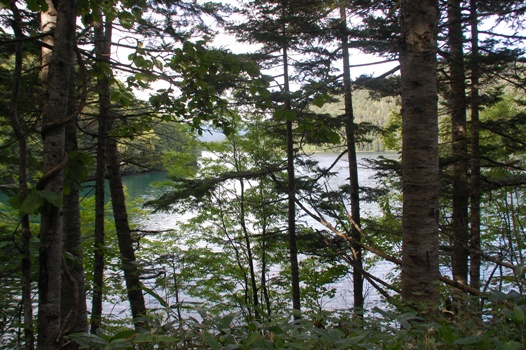 d0153294_13533751.jpg