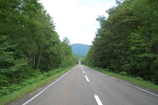 d0153294_14383587.jpg