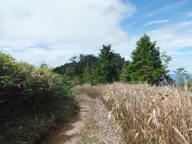 a0271502_1340135.jpg