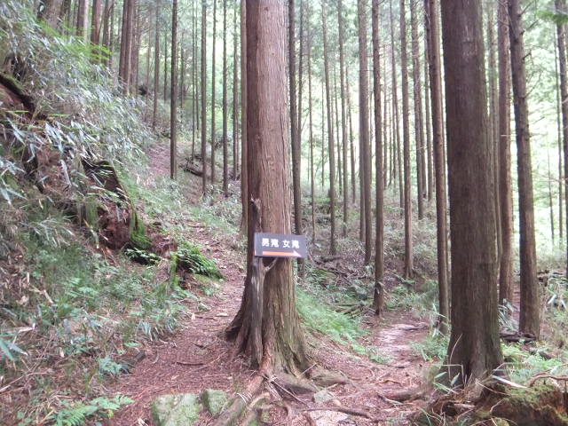 a0271502_1521262.jpg