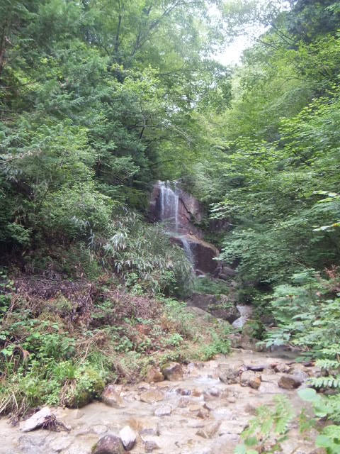 a0271502_1534789.jpg