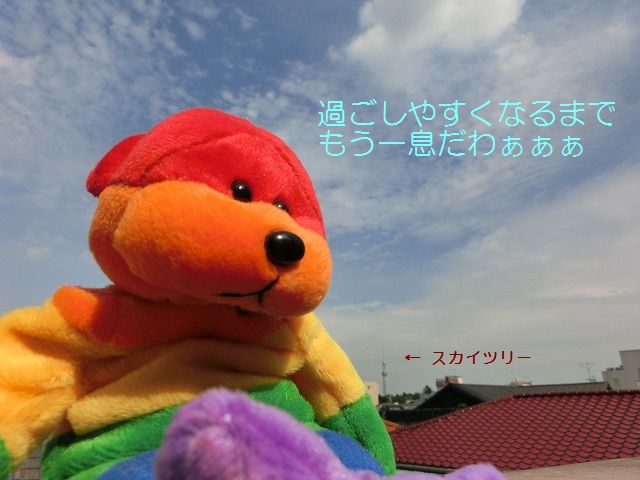 b0190603_14524138.jpg
