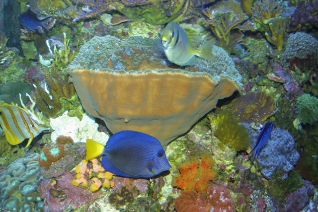 c0062603_1465479.jpg