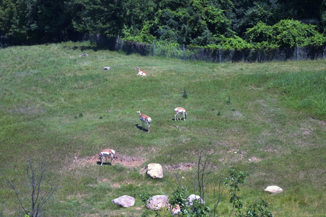 c0062603_14745100.jpg