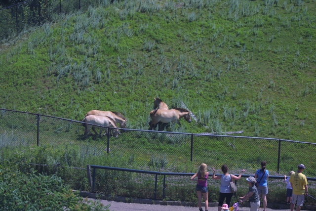 c0062603_1475531.jpg
