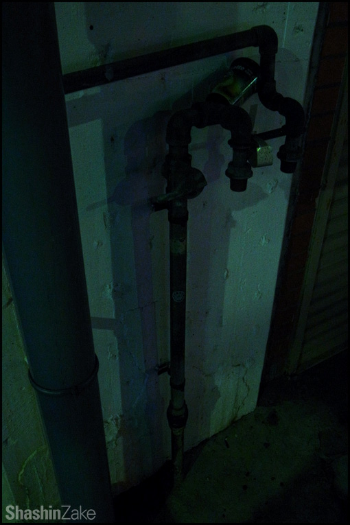 c0102003_1783727.jpg