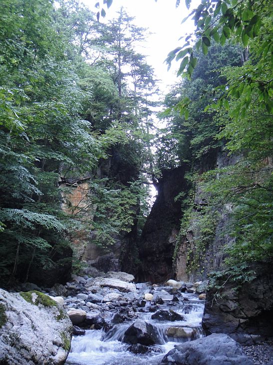 b0172805_9233782.jpg