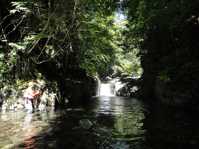 b0172805_9304380.jpg