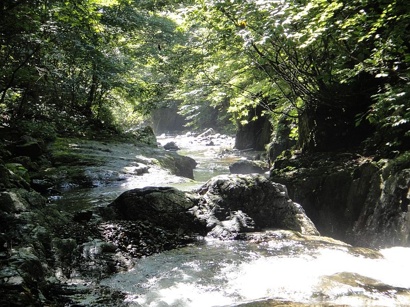 b0172805_931664.jpg