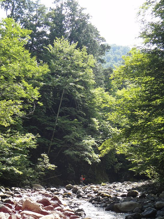 b0172805_933614.jpg