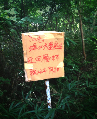 e0177207_1855045.jpg