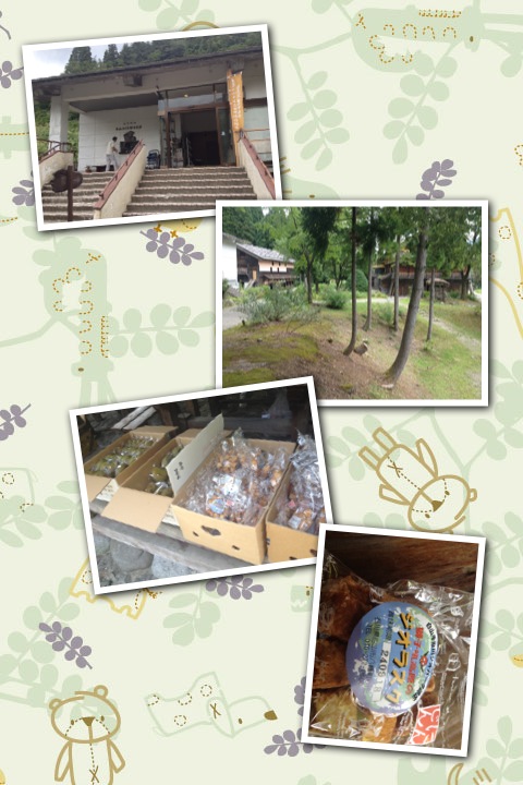 越前加賀アースライド 2012_a0194908_54611.jpg