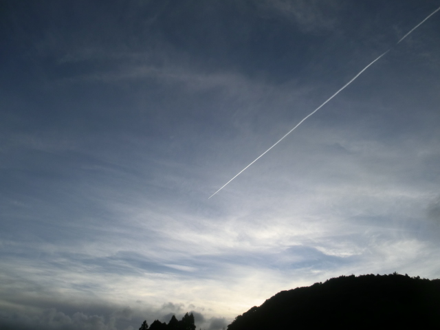 d0237309_22384593.jpg